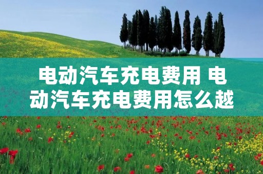 电动汽车充电费用 电动汽车充电费用怎么越来越贵