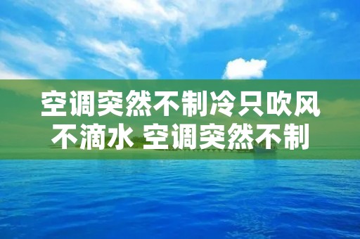 空调突然不制冷只吹风不滴水 空调突然不制冷只吹风不滴水什么原因