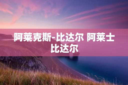 阿莱克斯-比达尔 阿莱士比达尔