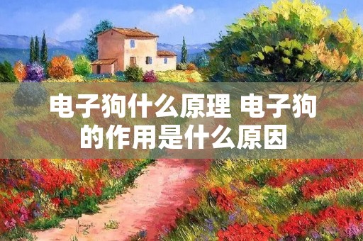 电子狗什么原理 电子狗的作用是什么原因