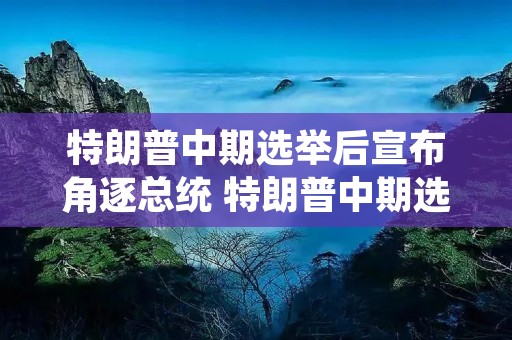 特朗普中期选举后宣布角逐总统 特朗普中期选举后宣布角逐总统怎么办