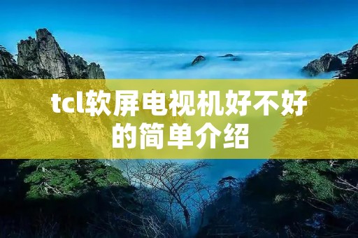tcl软屏电视机好不好的简单介绍