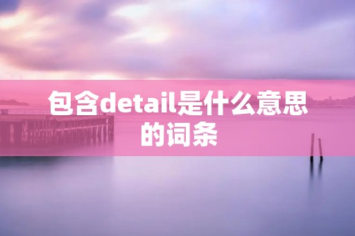 包含detail是什么意思的词条