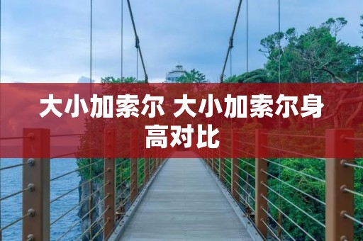 大小加索尔 大小加索尔身高对比