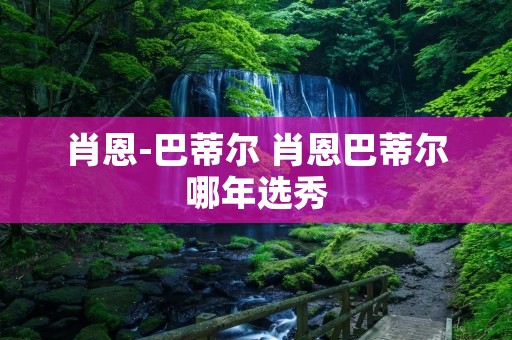 肖恩-巴蒂尔 肖恩巴蒂尔哪年选秀