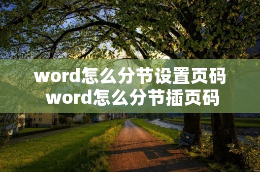 word怎么分节设置页码 word怎么分节插页码