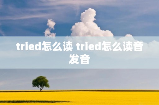 tried怎么读 tried怎么读音发音