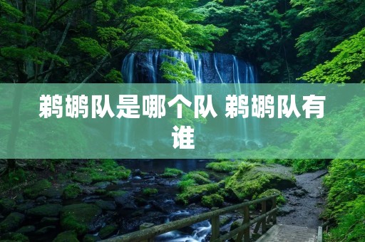 鹈鹕队是哪个队 鹈鹕队有谁