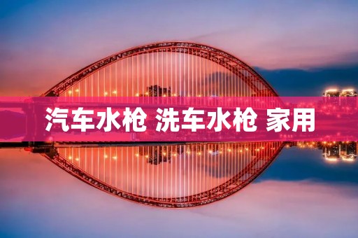汽车水枪 洗车水枪 家用