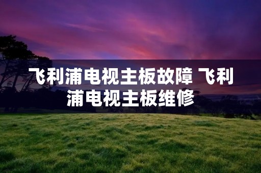 飞利浦电视主板故障 飞利浦电视主板维修