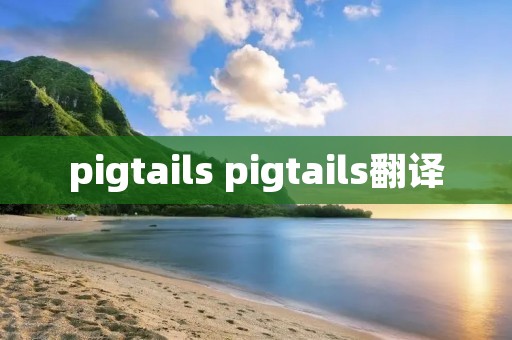 pigtails pigtails翻译