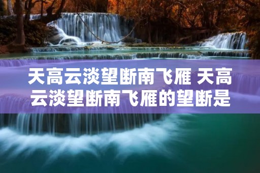 天高云淡望断南飞雁 天高云淡望断南飞雁的望断是什么意思