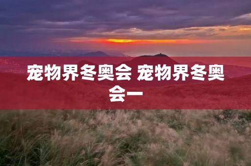 宠物界冬奥会 宠物界冬奥会一