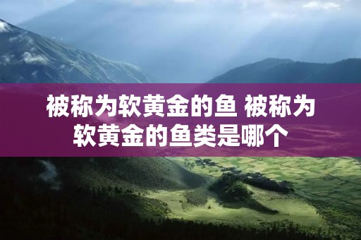 被称为软黄金的鱼 被称为软黄金的鱼类是哪个