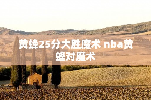 黄蜂25分大胜魔术 nba黄蜂对魔术 黄蜂25分大胜魔术 nba黄蜂对魔术