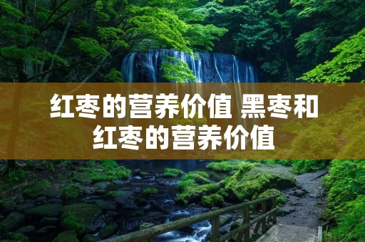 红枣的营养价值 黑枣和红枣的营养价值 红枣的营养价值 黑枣和红枣的营养价值