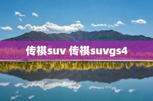 传祺suv 传祺suvgs4