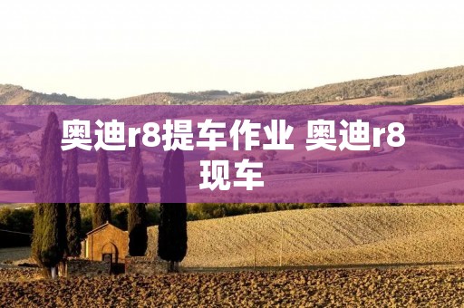 奥迪r8提车作业 奥迪r8现车