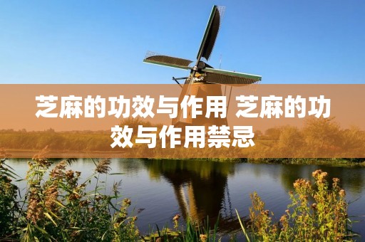 芝麻的功效与作用 芝麻的功效与作用禁忌 芝麻的功效与作用 芝麻的功效与作用禁忌
