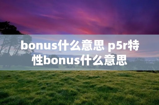 bonus什么意思 p5r特性bonus什么意思