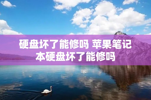 硬盘坏了能修吗 苹果笔记本硬盘坏了能修吗