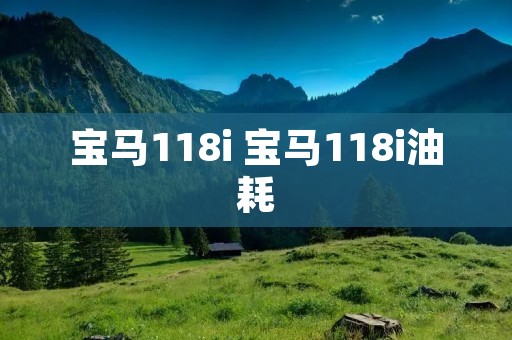 宝马118i 宝马118i油耗 宝马118i 宝马118i油耗