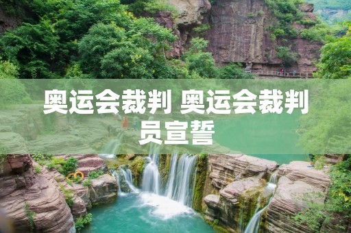 奥运会裁判 奥运会裁判员宣誓