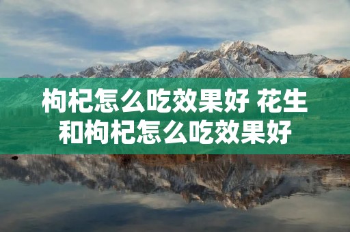 枸杞怎么吃效果好 花生和枸杞怎么吃效果好