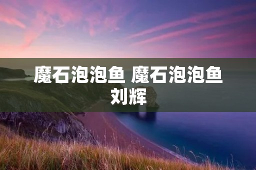 魔石泡泡鱼 魔石泡泡鱼刘辉