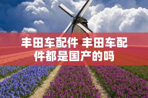 丰田车配件 丰田车配件都是国产的吗