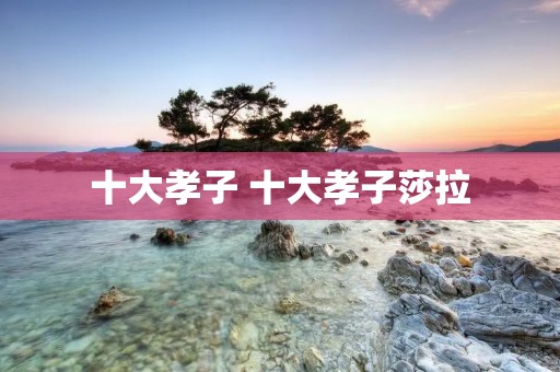 十大孝子 十大孝子莎拉