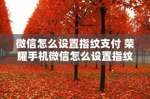 微信怎么设置指纹支付 荣耀手机微信怎么设置指纹支付