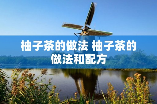 柚子茶的做法 柚子茶的做法和配方