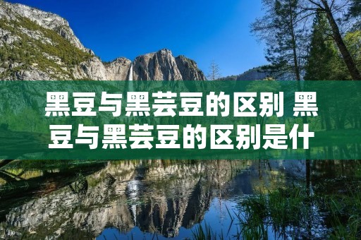黑豆与黑芸豆的区别 黑豆与黑芸豆的区别是什么