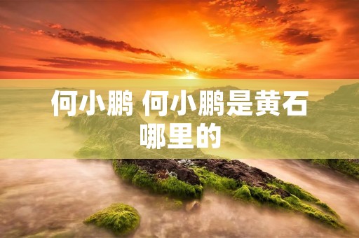 何小鹏 何小鹏是黄石哪里的 何小鹏 何小鹏是黄石哪里的