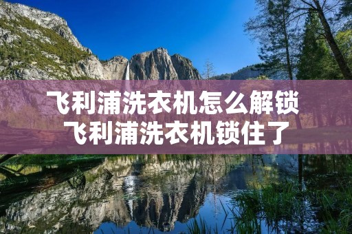 飞利浦洗衣机怎么解锁 飞利浦洗衣机锁住了