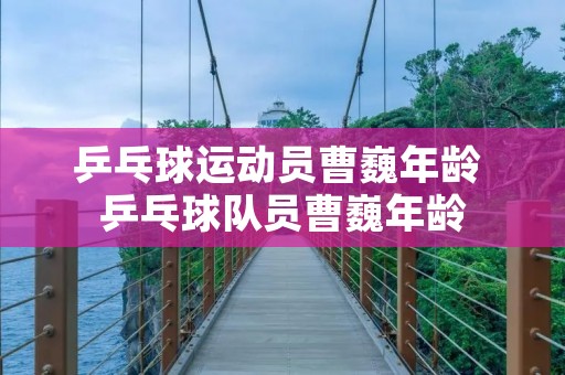 乒乓球运动员曹巍年龄 乒乓球队员曹巍年龄