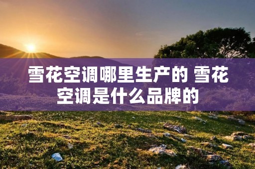 雪花空调哪里生产的 雪花空调是什么品牌的