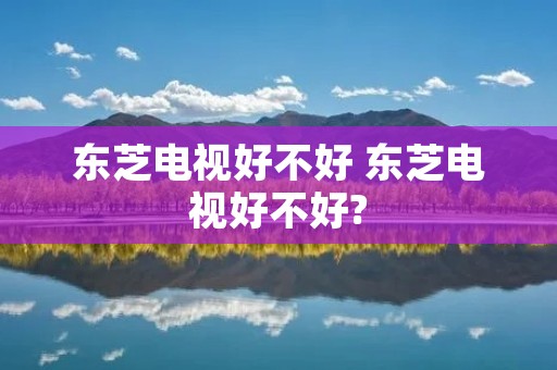 东芝电视好不好 东芝电视好不好?