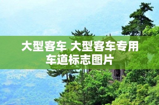 大型客车 大型客车专用车道标志图片