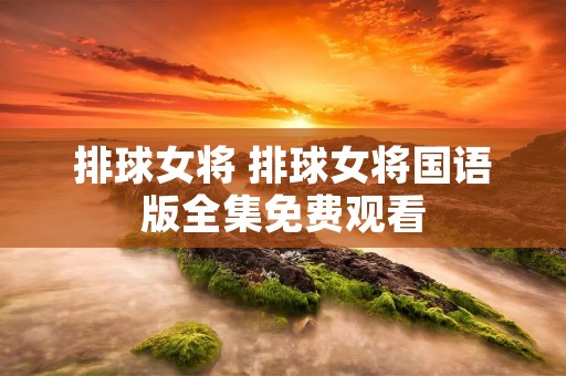 排球女将 排球女将国语版全集免费观看
