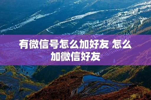 有微信号怎么加好友 怎么加微信好友 有微信号怎么加好友 怎么加微信好友
