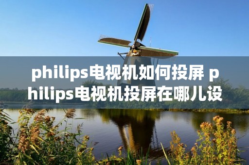philips电视机如何投屏 philips电视机投屏在哪儿设置