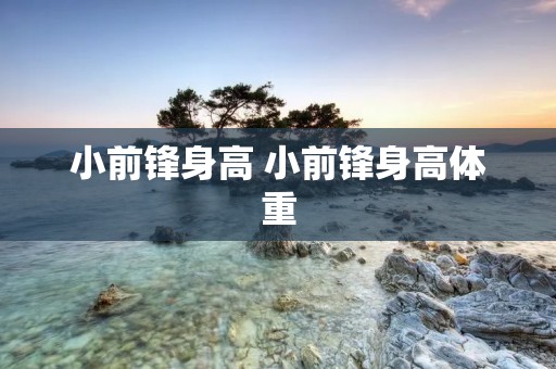 小前锋身高 小前锋身高体重 小前锋身高 小前锋身高体重