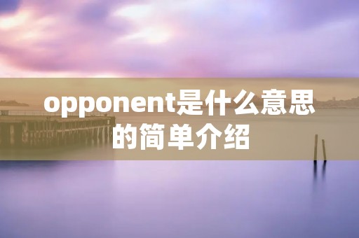 opponent是什么意思的简单介绍 opponent是什么意思的简单介绍