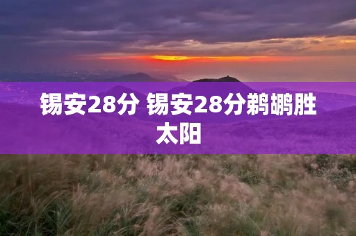 锡安28分 锡安28分鹈鹕胜太阳 锡安28分 锡安28分鹈鹕胜太阳
