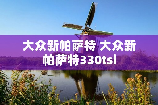 大众新帕萨特 大众新帕萨特330tsi