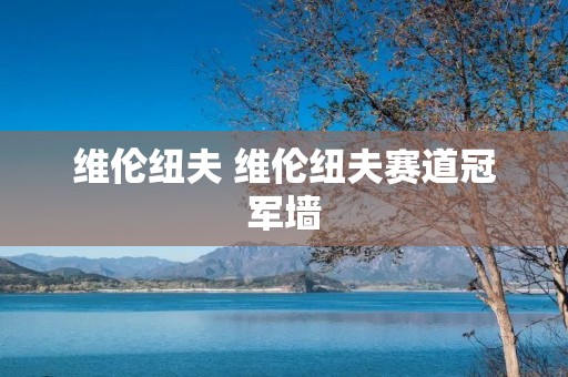 维伦纽夫 维伦纽夫赛道冠军墙 维伦纽夫 维伦纽夫赛道冠军墙