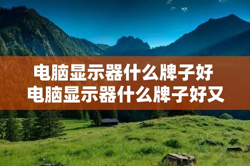 电脑显示器什么牌子好 电脑显示器什么牌子好又便宜