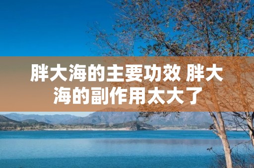 胖大海的主要功效 胖大海的副作用太大了 胖大海的主要功效 胖大海的副作用太大了